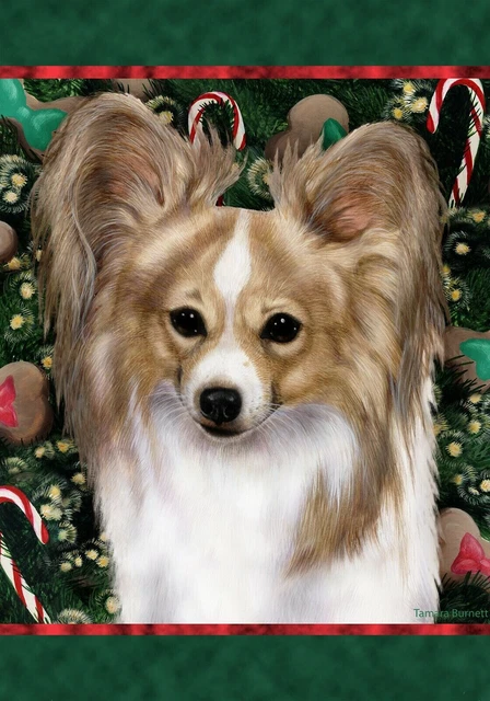Christmas Holiday Garden Flag - Lemon and White Papillon 144431