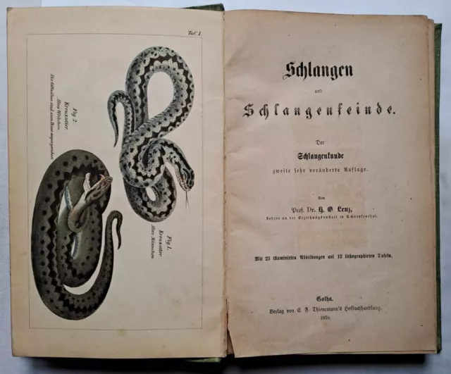 Schlangen und Schlangenfeinde, H.O. Lenz, 2. sehr veränderte Auflage, 1870