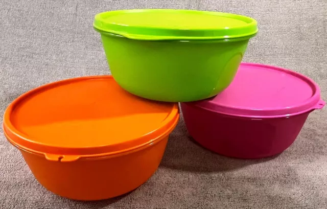https://www.picclickimg.com/EqcAAOSw1SNlHLYv/Tupperware-SS-BOWLS-round-storage-container-Multi-capacity.webp