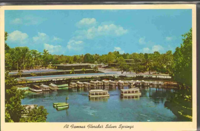 Unused Postcard Famous Floridas Silver Springs Ocala Florida FL