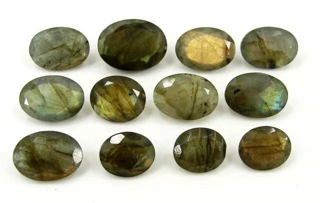 61.95 Ct Natural Labradorite Gemstone 11-16 mm Oval Cut 12 Pcs Stone Lot - 1674