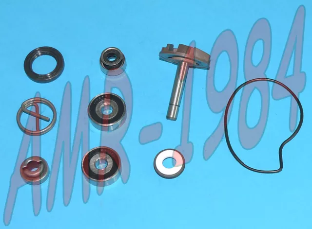Set Révision Pompe à Eau H2O piaggio beverly 250 Rst 2004-2005 100110220