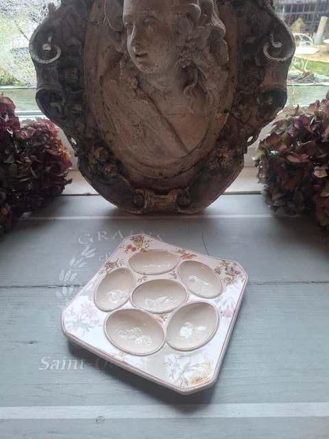 Ancien Plat à œufs Mollets En Céramique – Multicolore – Neuf Sans Emballage
