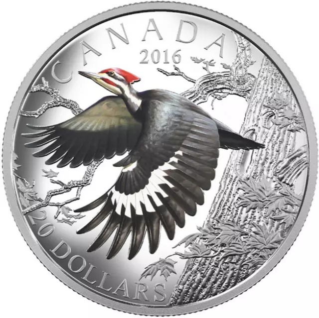 CANADA 20 Dollars 2016 Silver 1oz. Proof Migratory Birds The Pileated Woodpecker