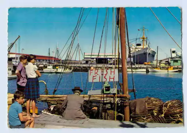 X1D95/ Tasmania  Port of Hobart AK ca.1965