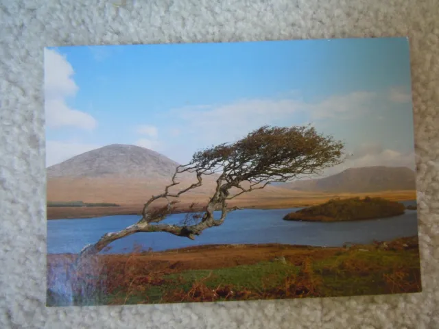 Postcard - Recess, Connemara, County Galway, Ireland 6 3/5 x 4 3/4 inches