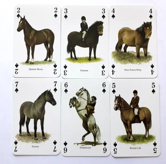 Vintage Playing Cards Horses & Ponies Of The World 52 + 2J & Box 1997 Postfree