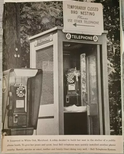 1961 VTG Print Ad Bell Telephone System Bird Nesting in Phone Booth