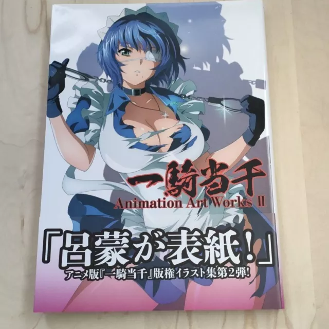 Ikki Tousen Animation Art Works Vol.2 - Tokyo Otaku Mode (TOM)