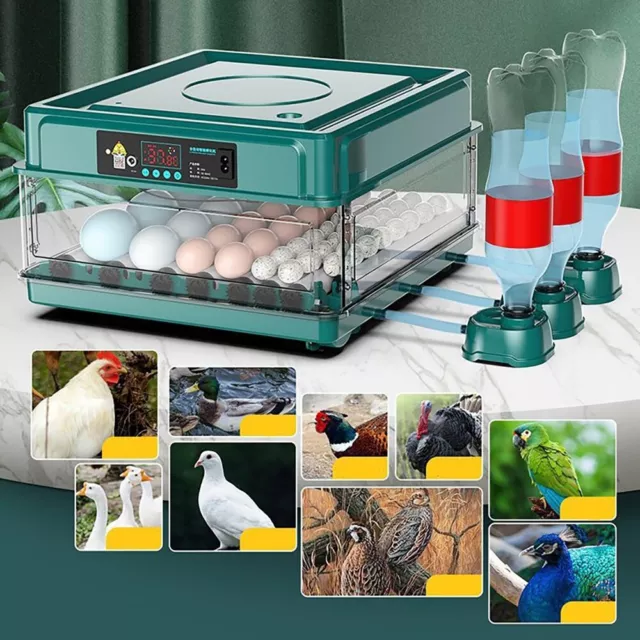 Incubadora de huevos control de temperatura automático de giro incubadora pato pollo huevo