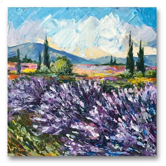 Lavender field Landscape of Provence Lavender flowers of soft purple color with