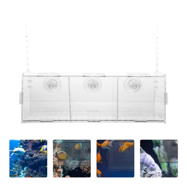 ACRYLIC FISH TANK Isolation Box Aquarium Hatchery Incubator £19.88 ...