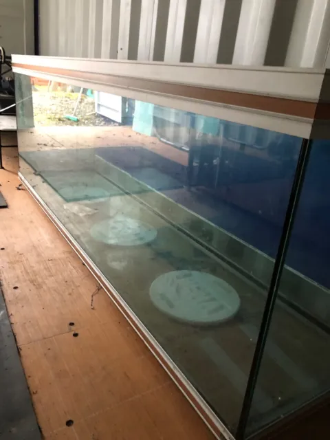 6ft fish tank unfortunately  only  used once then  stored it