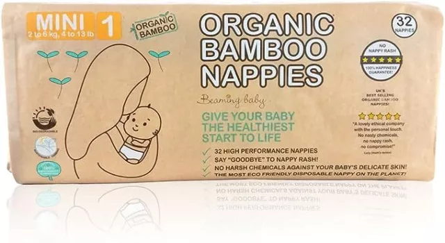 Beaming Baby Organic Bamboo Nappies Size 1 (2-6 kg, 32 nappies)-2 Pack