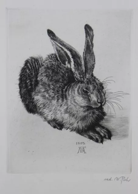 Feldhase junger Hase - Wilhelm Pech n. Albrecht Dürer - signierte Radierung 1980