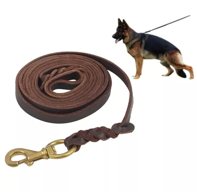 Juego de 5 correas de entrenamiento para perros STG de piel auténtica...