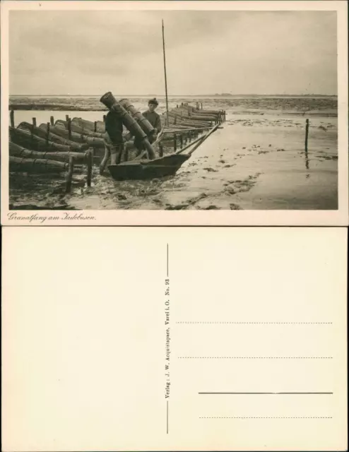 Butjadingen Berufe/Arbeit: Fischer / Angler Granatfang am Fadebusen. 1928