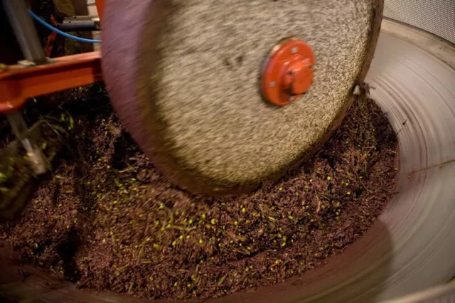 2 taniche da 5 litri Olio extravergine di oliva coratina pugliese molitura 2022