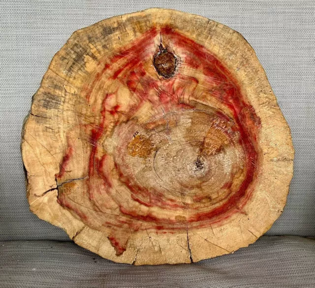 Spalted Flame Box Elder Maple Live Edge Slab Burl Cookie Round 13”x13.5”x1.25” Spalted Flame Box Elder Maple Live Edge Slab Burl Cookie Round 13”x13.5”x1.25”