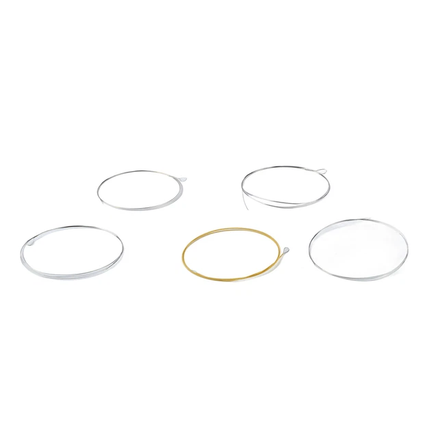 5 Cordes Banjo Cordes En Acier Inoxydable Cordes De Remplacement Pleine