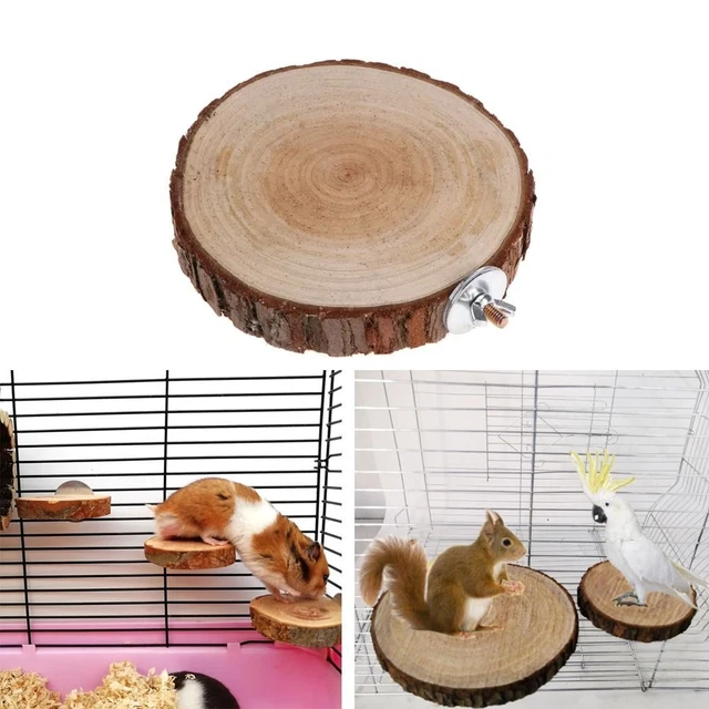 Holz Vogel Barsch Stand  Eichhörnchen Drachen Katze Papagei