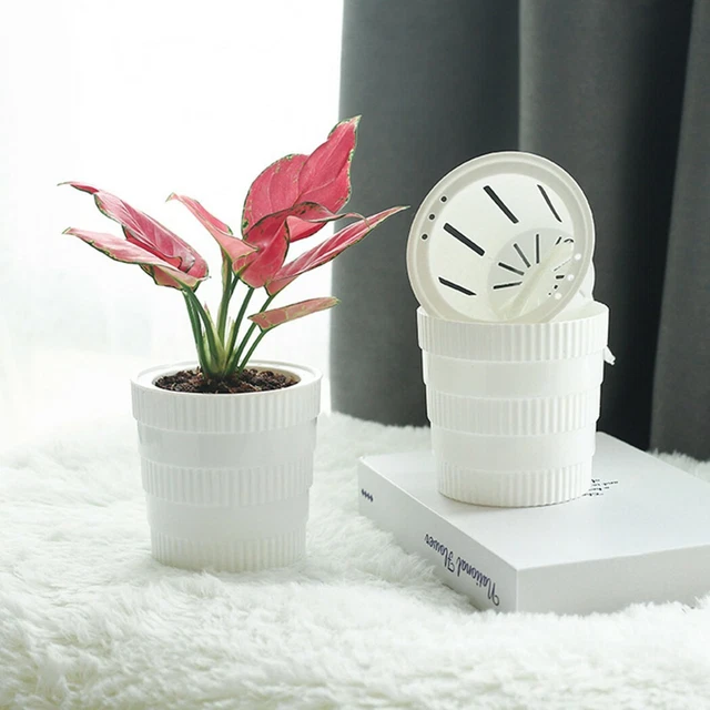 Selbstbewahrerder Pflanzer Blumentopf Home Office Desktop Pflanzen Topf Dekor