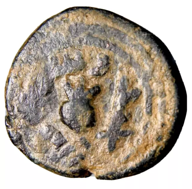 CERTIFIED AUTHENTIC Medieval Islamic Coin Umayyad Palestine Pomegranate #3 CERTIFIED AUTHENTIC Medieval Islamic Coin Umayyad Palestine Pomegranate #3