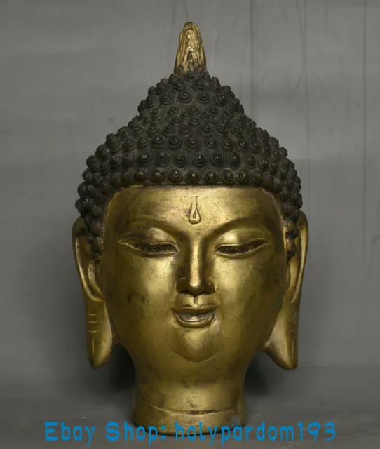 6.8" Old Tibet Bronze Gilt Buddhism Shakyamuni Amitabha Buddha Head Statue