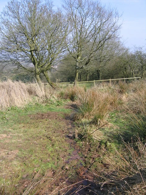 Photo 6x4 Source of Birmingham's River Rea. Dayhouse Bank This is the sou c2009