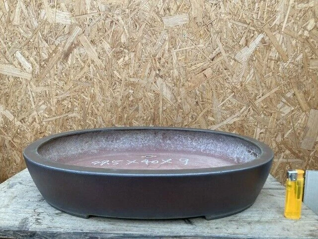 Chinese Bonsai Pot Signed Oval Width 49.5 cm / 19.49 in.