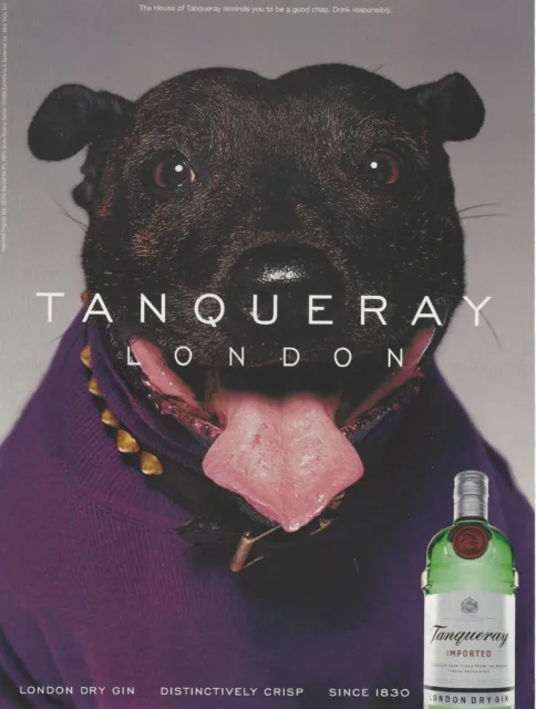 1999 Tanqueray London Gin Funny Dog vintage Print Ad Advertisement