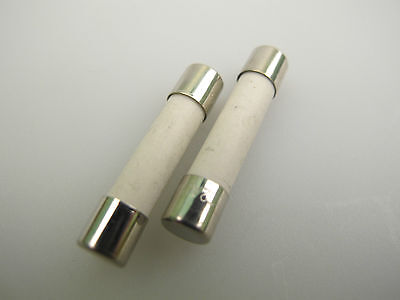 2 X 20A/32mm Céramique Micro-Ondes Fusible 20 Amps 32mm 20 Amp T20A Pack de Deux