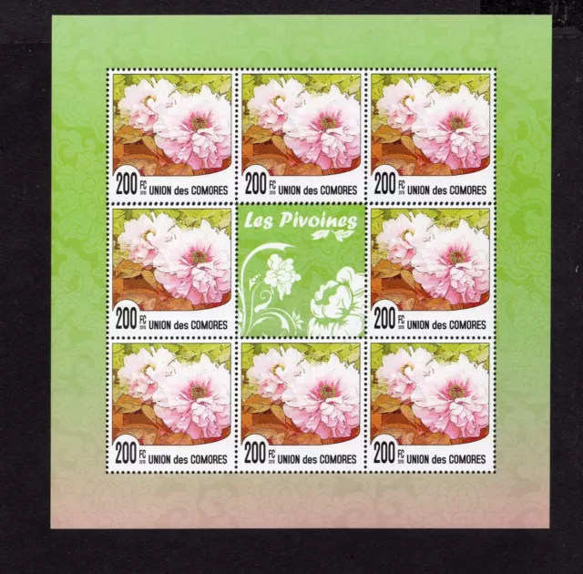 Comoros 2009 block of stamps Mi#559 MNH CV=18$