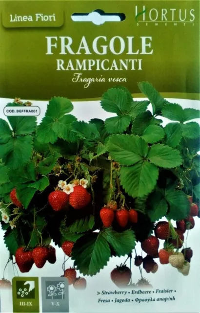 Semi di Fragole Rampicanti in Busta termosaldata