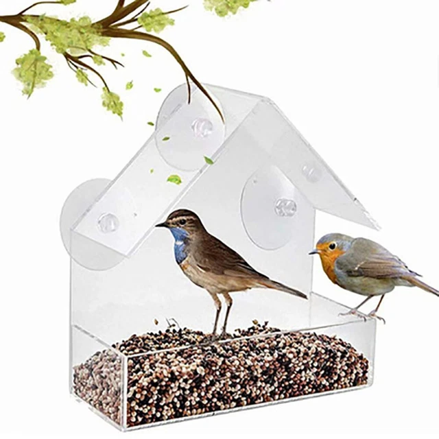 Station de mangeoire pour oiseaux Graine Cacahuète Aspiration Plexiglas Clair