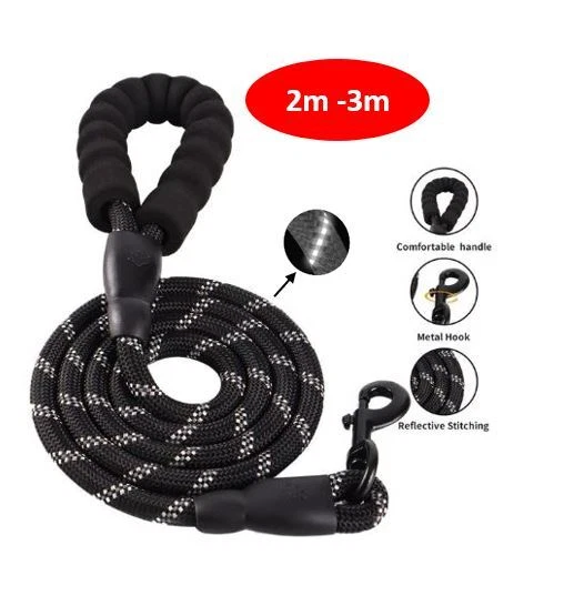 Gepolsterte Hundeleine 2m - 3m reflektierend Sicherheitsleine Nylon Führleine