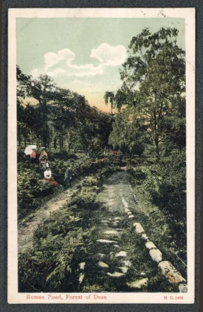 Roman Road, Nr Blakeney, Forest of Dean, Lydbrook Postmark Peacock Series c1907