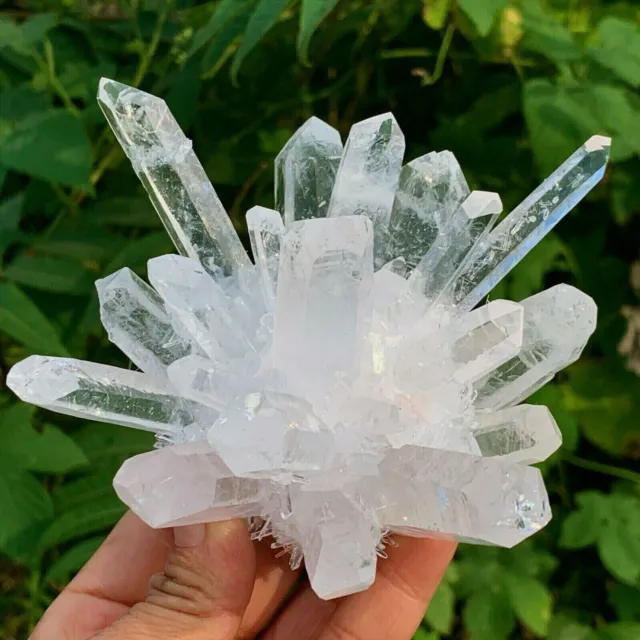 New Find white Phantom Quartz Crystal Cluster Mineral Specimen Healing 300g+/1pc 10