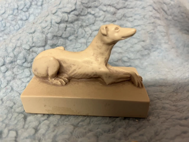 Vintage Whippet Greyhound Lying Down