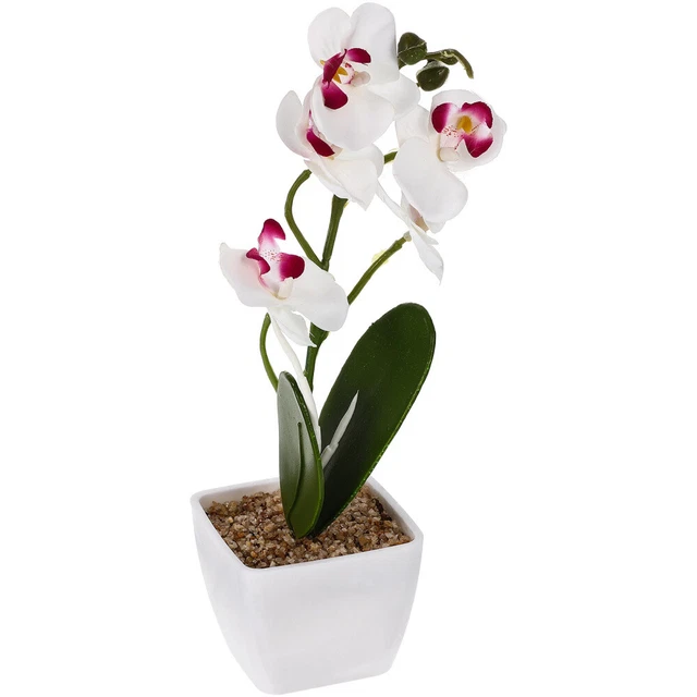 Bonsái artificial realista Phalaenopsis bonsái orquídea falsa con simulación de maceta maceta maceta B