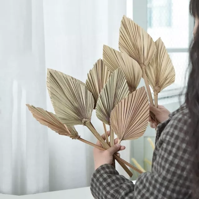 12 Piezas de Hojas de Palma Secas Naturales, DecoracióN de Hojas Secas Bohe7757 3