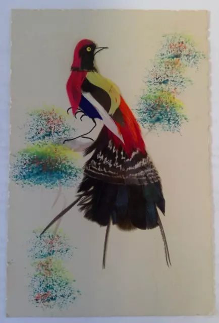 1944 Bird Postcard Novelty Real Feathers ! Made In Mexico Wwii Era