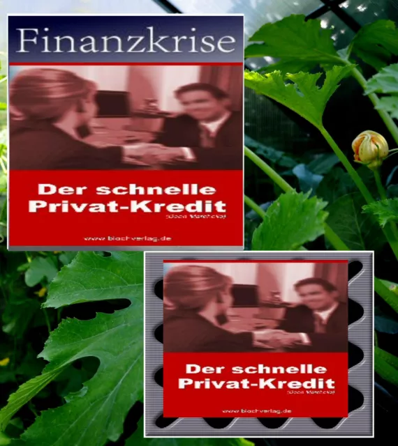 eBook:# DER SCHNELLE PRIVAT KREDIT Falls die Bank nein sagt # DOPELPACK auf CD