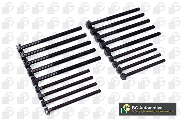 Bulloni testa cilindro adatti set FORD TRANSIT TOURNEO 2.0D 00-06 BGA 1102674