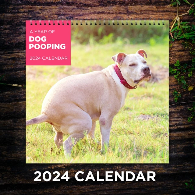 DOGS POOPING CALENDAR 2025, Dog Wall Calendar 2025, Funny Calendar 2025