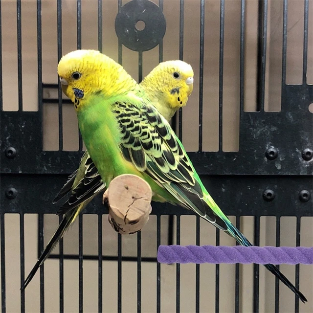 Vogel Spielzeug 2-teilig - Schaukel & Kletterleiter Für Papageien Und Ziervögel