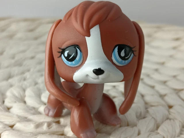 PETSHOP AUTHENTIC LPS chien Beagle Brown Dog rare #567 Aimant