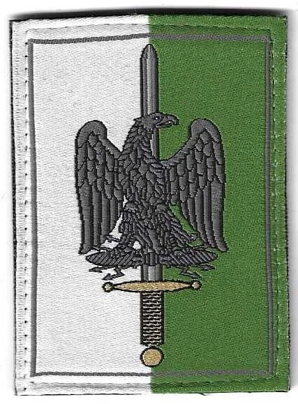 Ecusson tissu du 1er Corps d'Armée VIème Région Militaire fond feutre à crochets