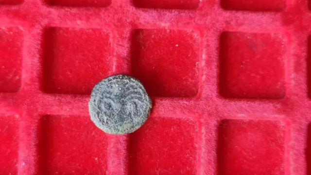 Moneda Ivero Romana Creo Cartagonova Muy Rara Piesa Pesa 2 Gramos 3