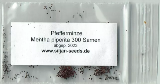 Pfefferminze Minze Winterhart mentha piperita, Tee und Heilkraut, 300 Samen